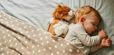 en baby og en hund ligger og sover i en seng sammen