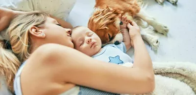 En dame holder rundt en baby og en hund. Foto